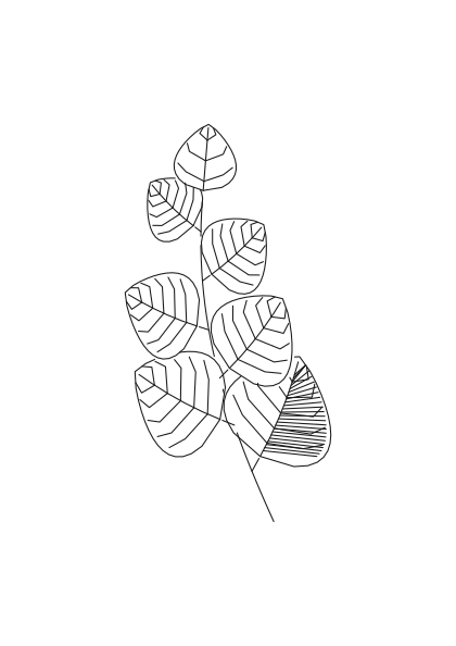 Poster: Botanik – Herbarium Mono