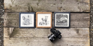 Fotos gezeichnet mit Schreibroboter